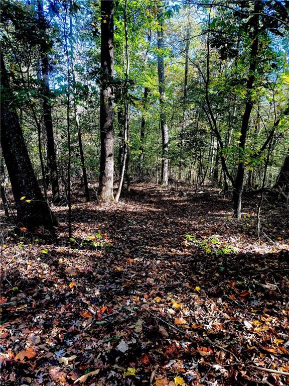 681 Mullinax Road Jasper, GA 30143 - Photo 31 of 36
