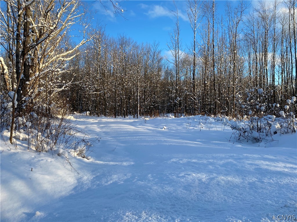 66 Towsley Road Pulaski, NY 13142 - Photo 1 of 1
