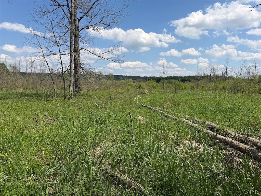 Buttermilk Road South Dayton, NY 14138 - Photo 14 of 26