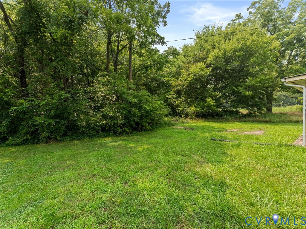 1593 Yellowbird Road Blackstone, VA 23824 - Photo 9 of 9 Expansive grassy yard area with mature trees and d