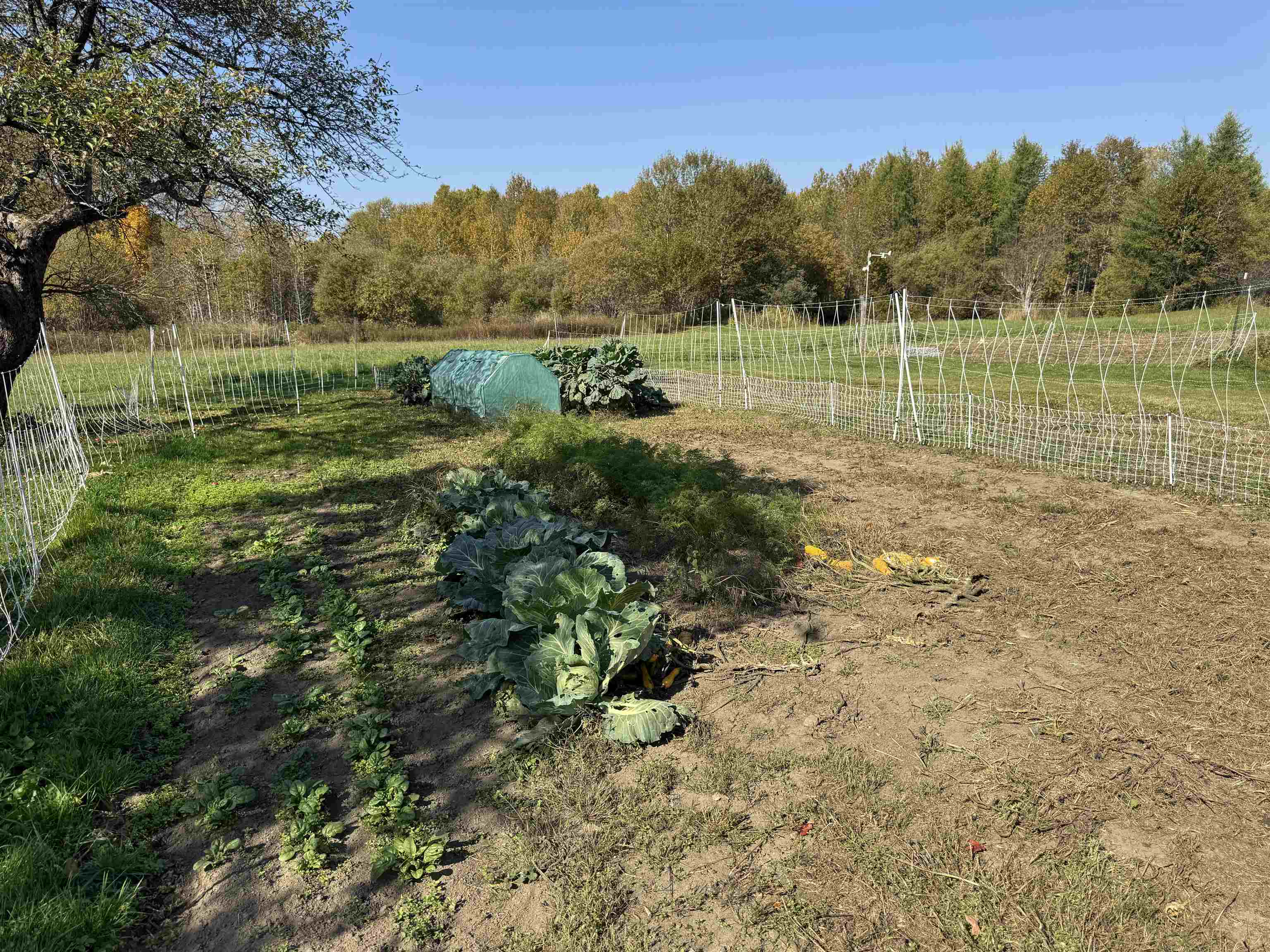 1315 Sugarhouse Road Burke, VT 05871 - Photo 20 of 55 Gallery Image 20