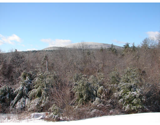 8 North County Road Princeton, MA 01541 - Photo 4 of 24 a view of a dry yard with mountains in the background