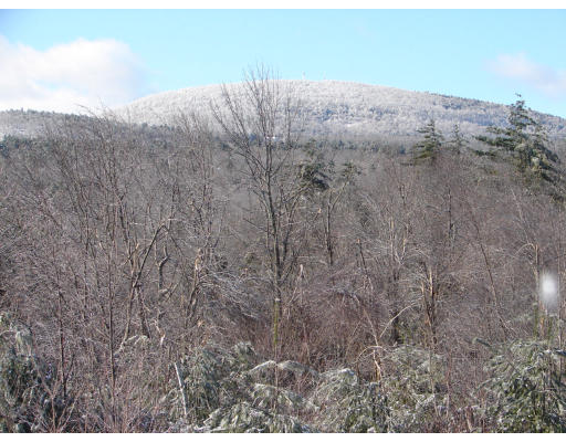 8 North County Road Princeton, MA 01541 - Photo 5 of 24 a view of a dry yard with mountains in the background