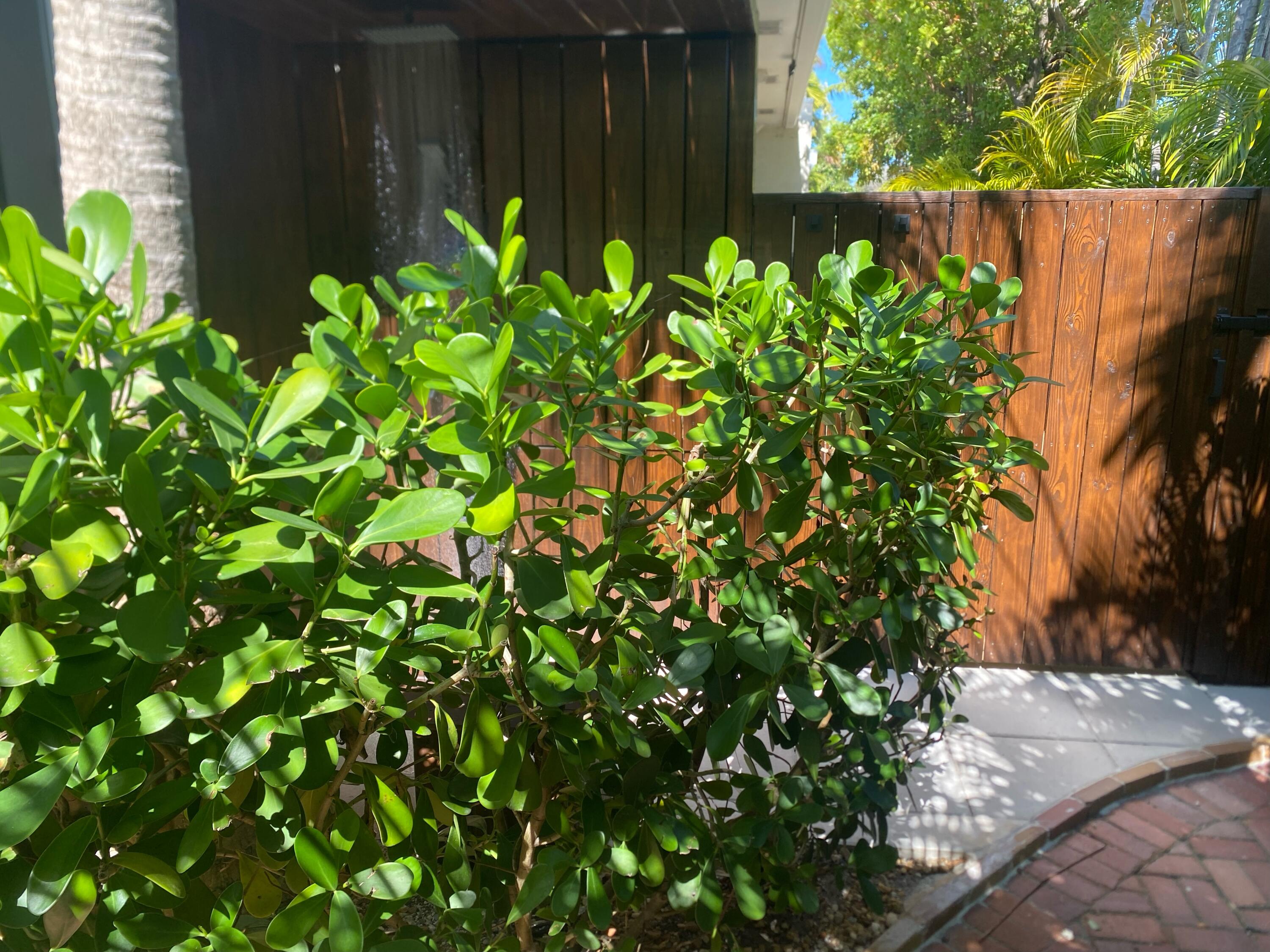 1422 Patricia Street Key West, FL 33040 - Photo 72 of 75 IMG_7767