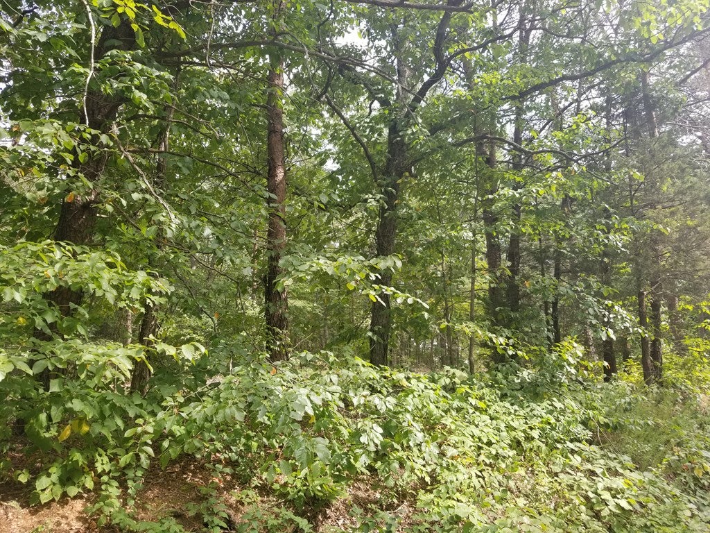 North Creek Road Appomattox, VA 24522 - Photo 2 of 3 Gallery Image 2