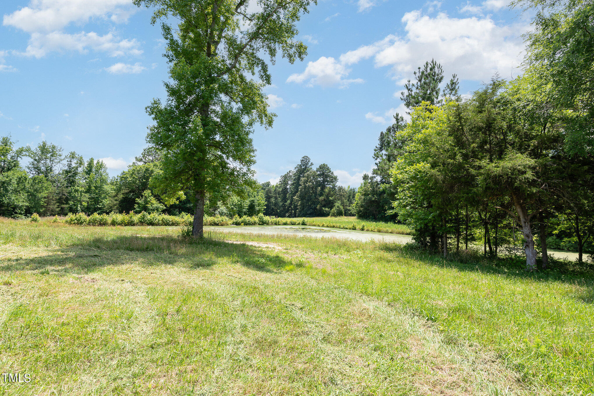5404 Lynch Store Road Mebane, NC 27302 - Photo 21 of 22 pond