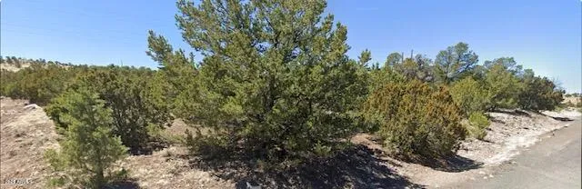 a view of a yard with a tree