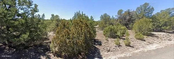 $65,000 | - West Snowline Drive, Eagar, AZ 85925