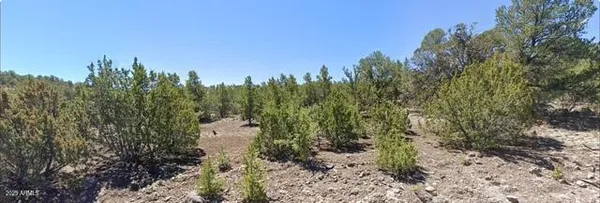 $65,000 | - West Snowline Drive, Eagar, AZ 85925