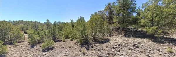 $65,000 | - West Snowline Drive, Eagar, AZ 85925