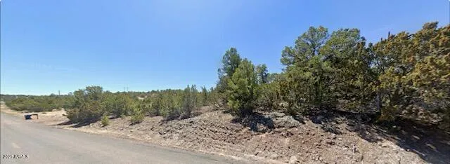 a view of a road with a trees in the background