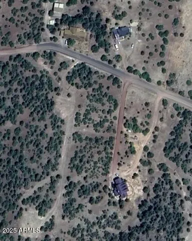 a view of a dry yard with lots of trees
