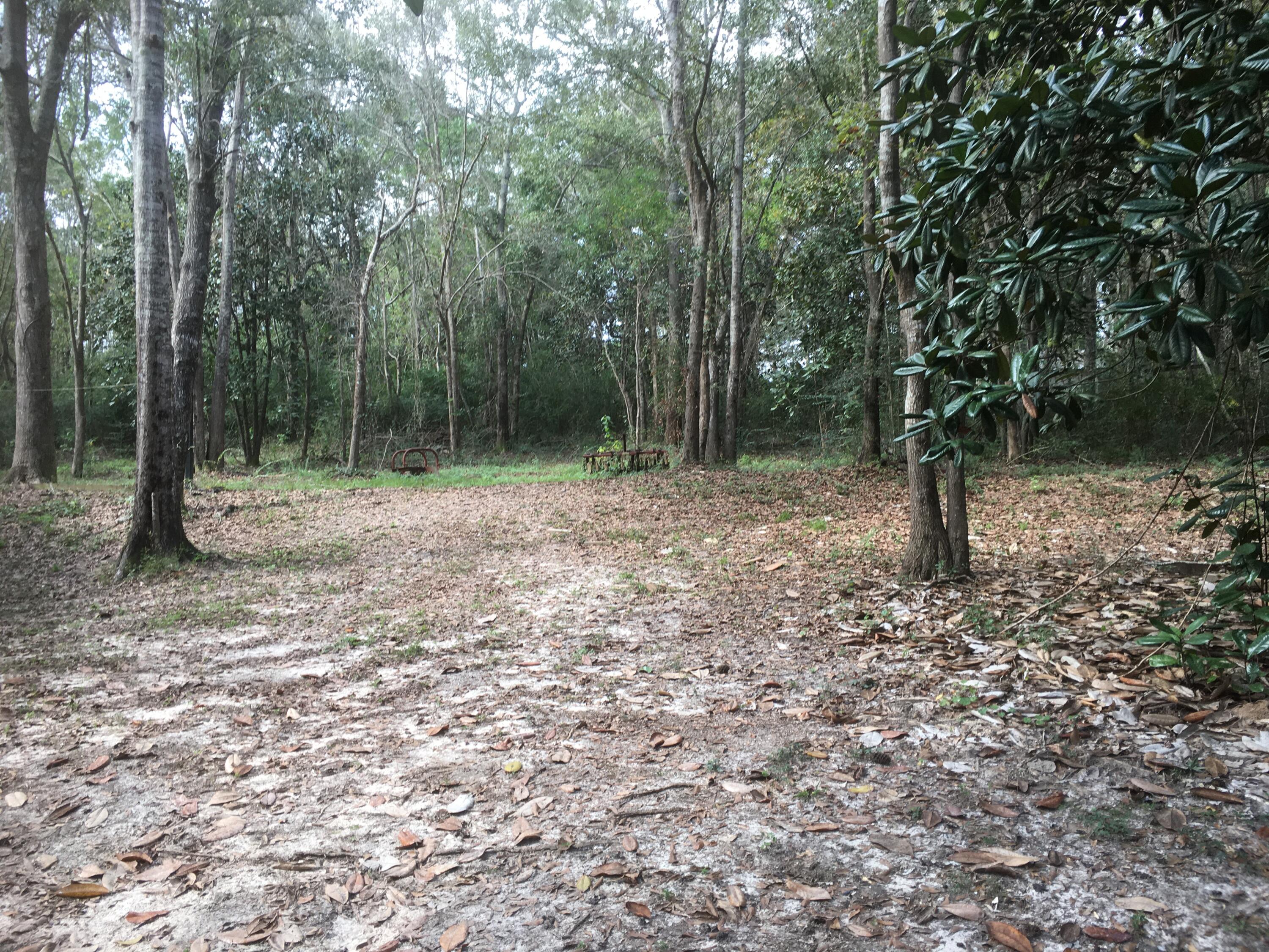 5872 Dairy Road Baker, FL 32531 - Photo 29 of 31 a backyard of a house with lots of green space