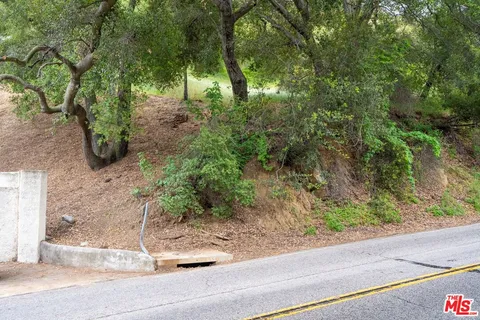 a view of a yard with plants and trees