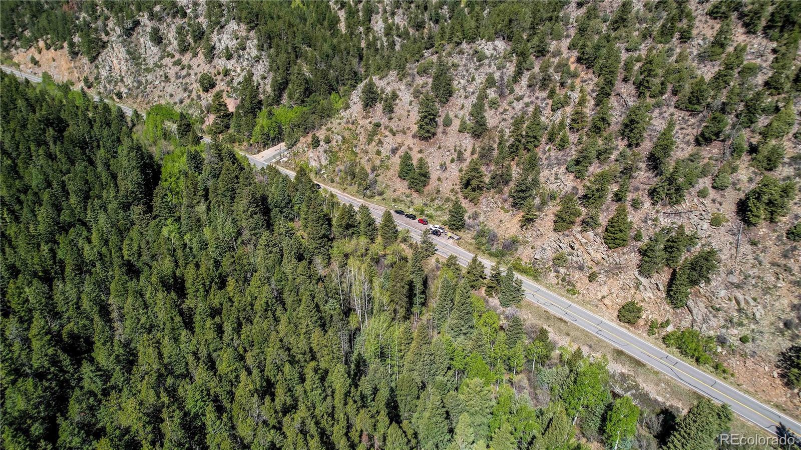 103 Cascade Creek Road Idaho Springs, CO 80452 - Photo 19 of 40 a view of a forest from a window
