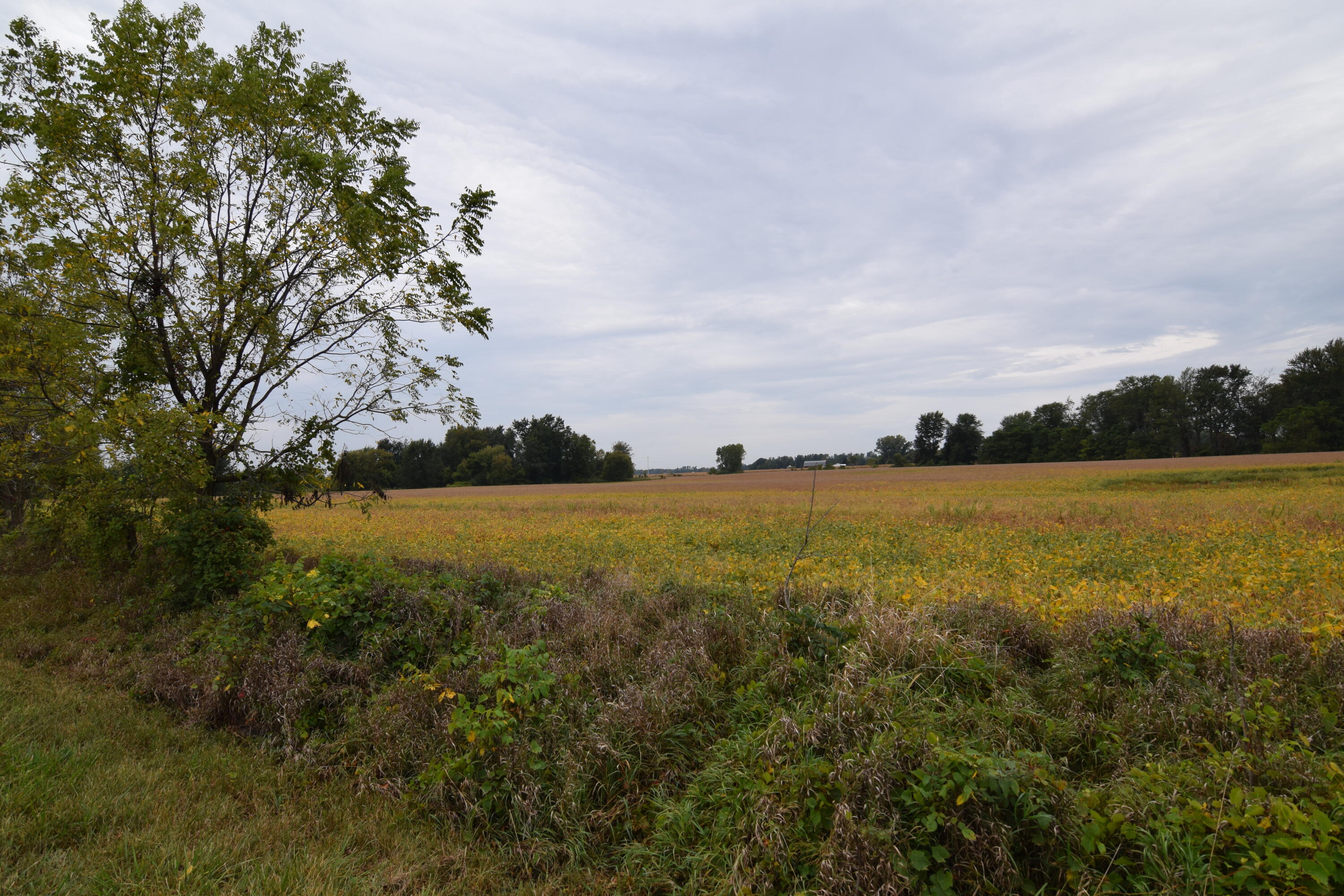 Rierson Road Bronson, MI 49028 - Photo 2 of 8 DSC_0019