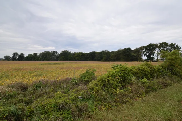 $274,900 | Rierson Road, Bronson, MI 49028