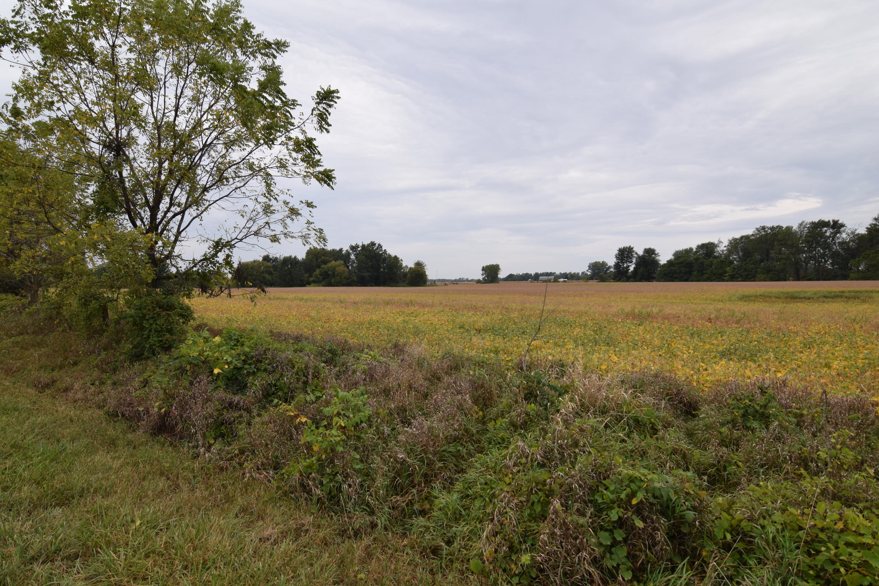 Rierson Road Bronson, MI 49028 - Photo 4 of 8 DSC_0012