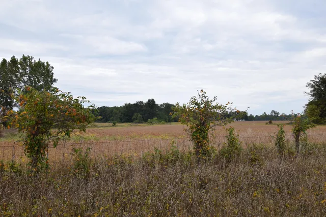 $274,900 | Rierson Road, Bronson, MI 49028