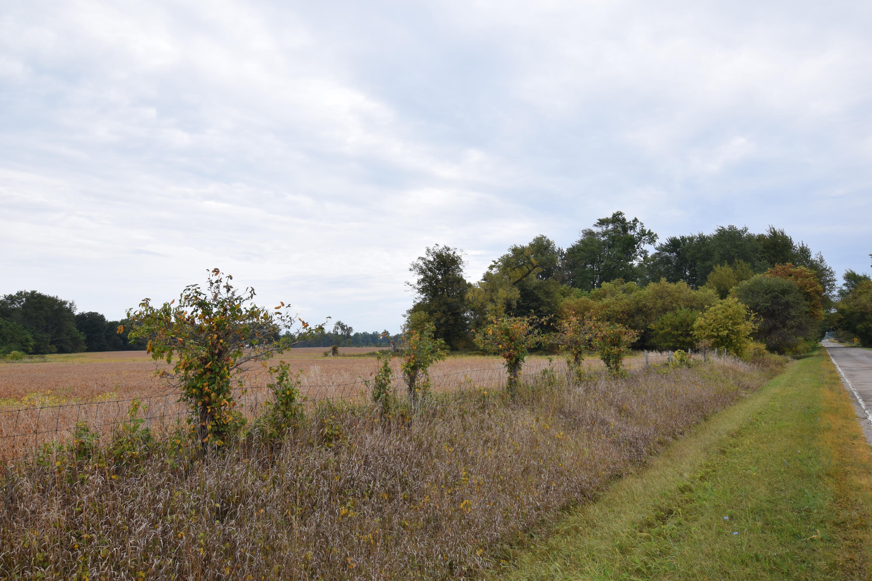 Rierson Road Bronson, MI 49028 - Photo 6 of 8 DSC_0010