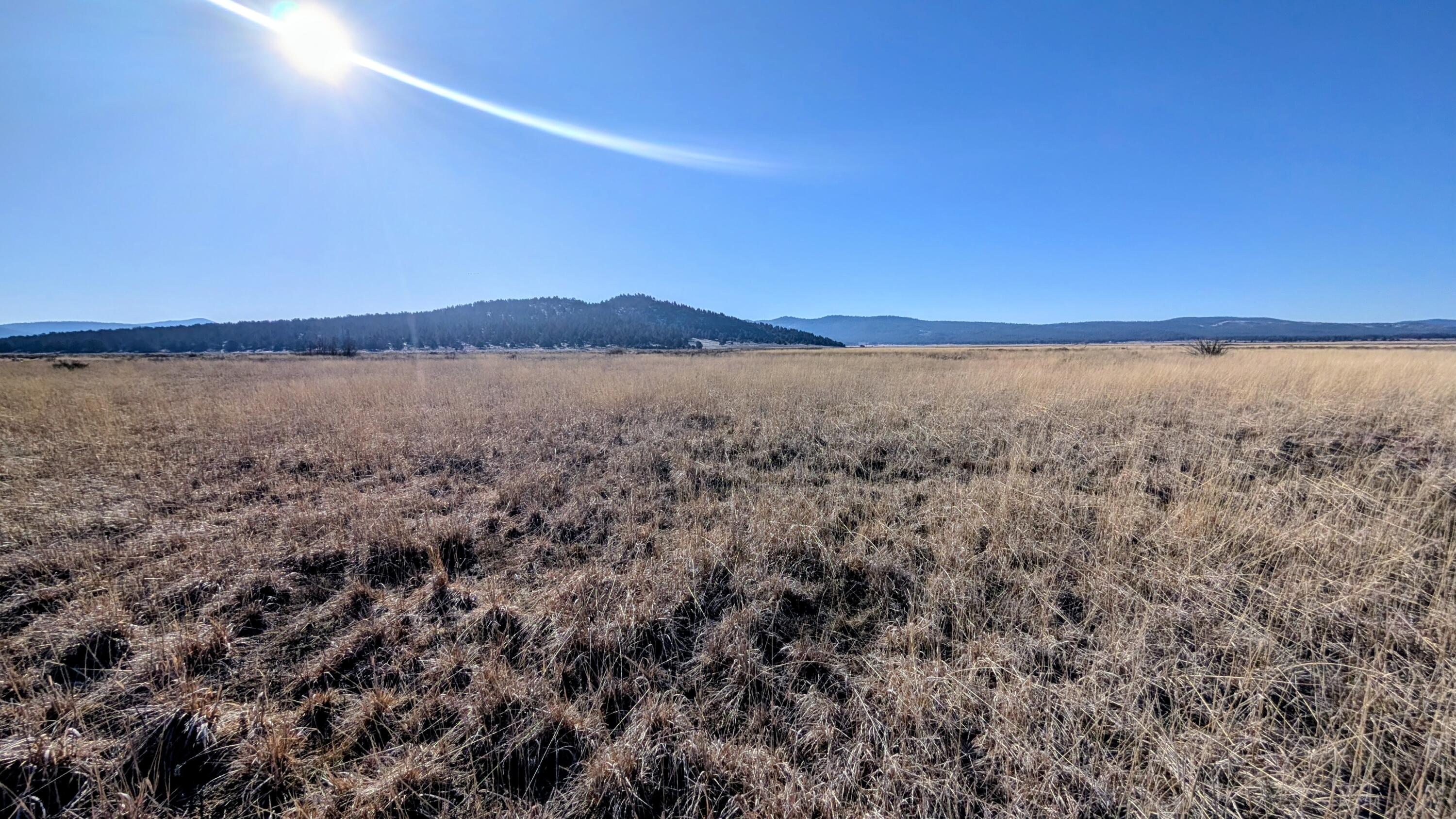 Deschutes Street, Unit 4 Chiloquin, OR 97624 - Photo 6 of 17 1000009312