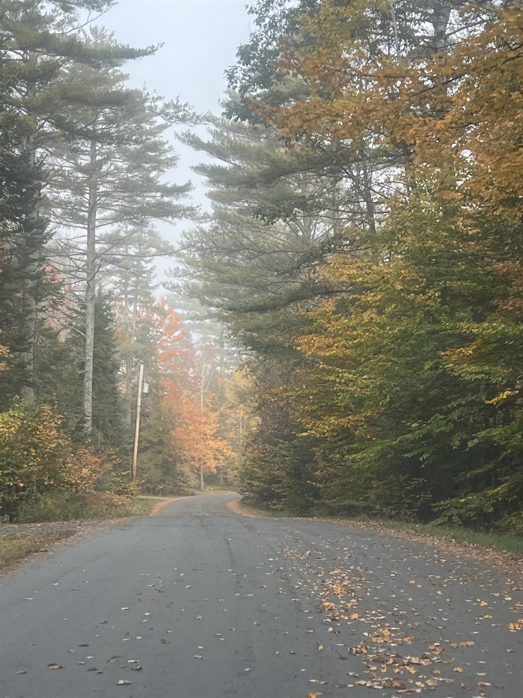 4 Robin Lane Grantham, NH 03753 - Photo 38 of 38