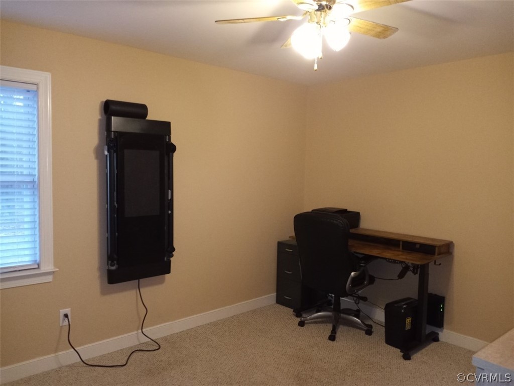 20525 Horseshoe Road Carson, VA 23830 - Photo 23 of 23 Gallery Image 23