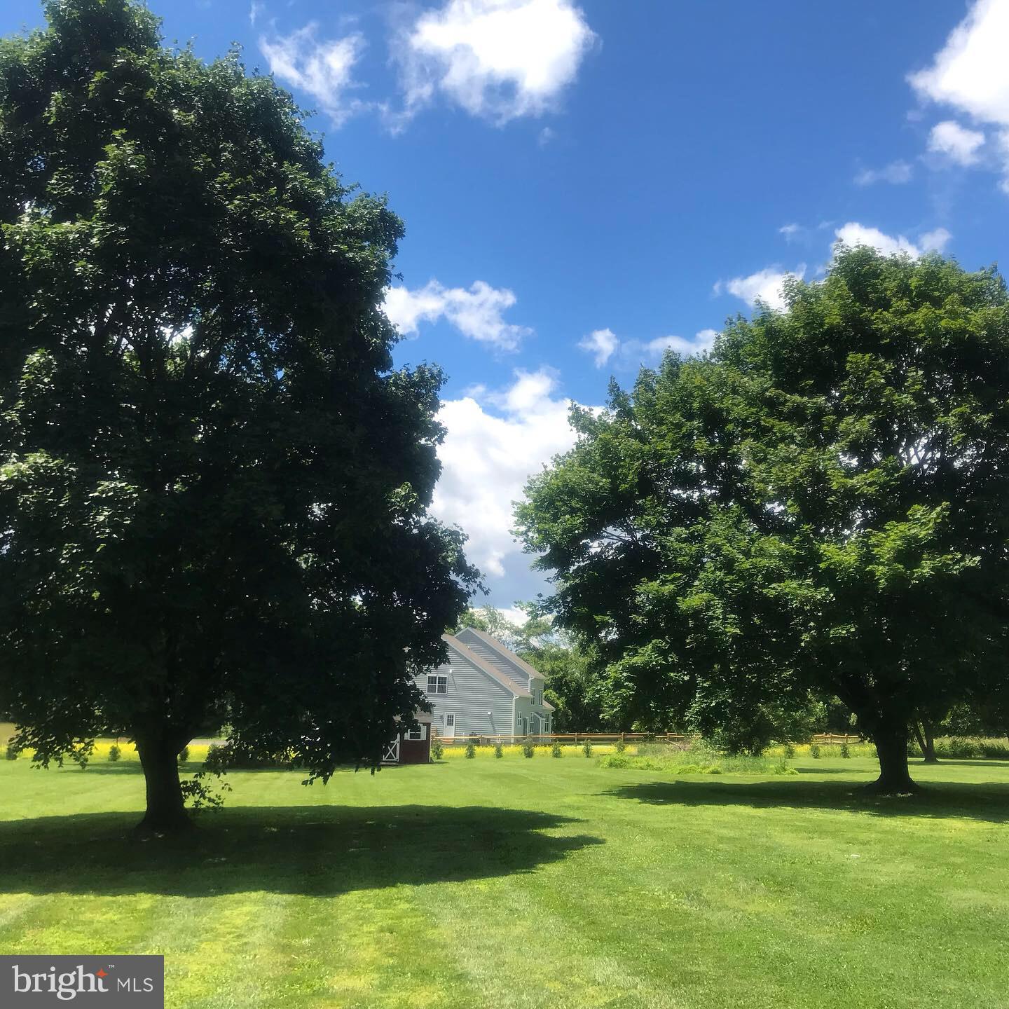 1128 Callowhill Road Chalfont, PA 18914 - Photo 22 of 34 Mature Trees