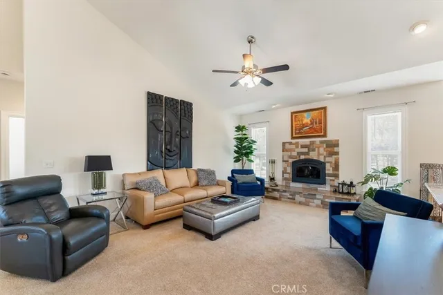 a living room with furniture potted plant and a fireplace