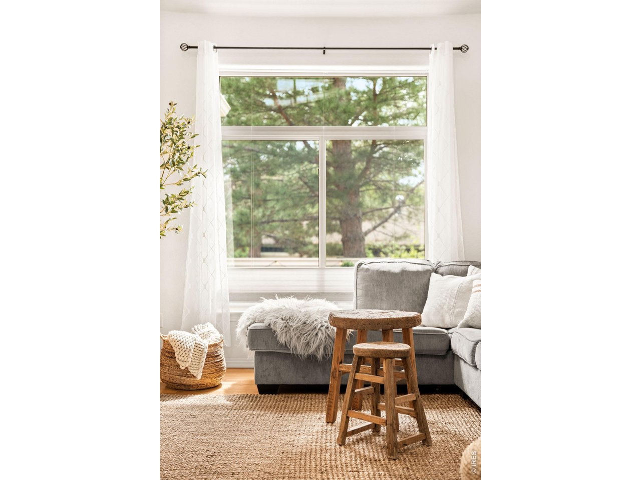 903 Hover Ridge Circle, Unit 2 Longmont, CO 80501 - Photo 9 of 29