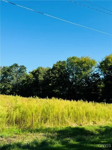 $73,600 | Lot 4 Carpenter Avenue, Groton, NY 13073