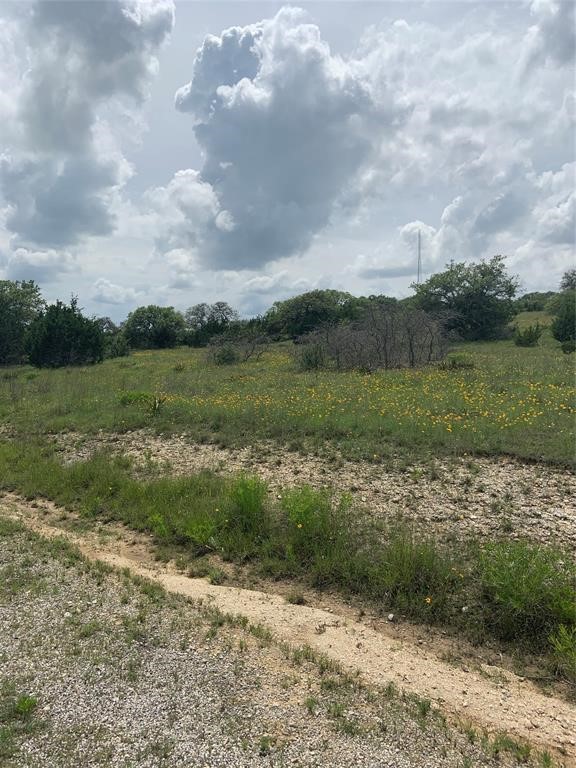 102 William Tobin Blanco, TX 78606 - Photo 2 of 10