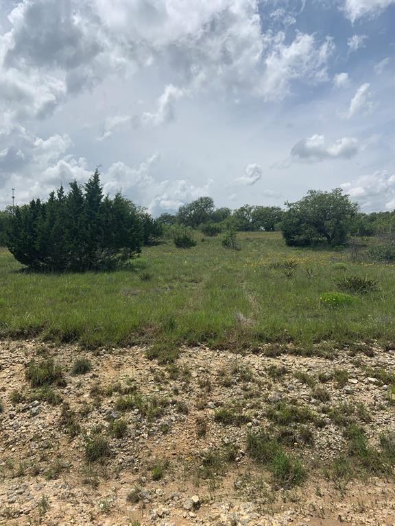 102 William Tobin Blanco, TX 78606 - Photo 3 of 10