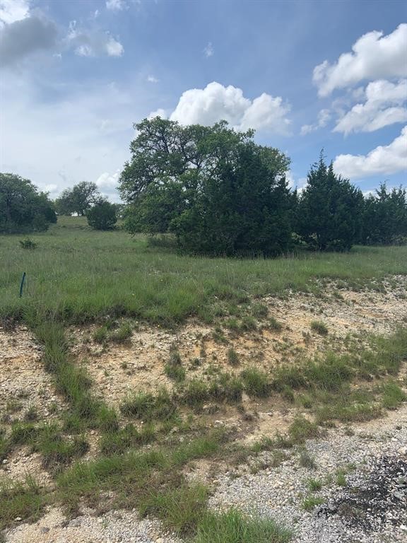 102 William Tobin Blanco, TX 78606 - Photo 6 of 10