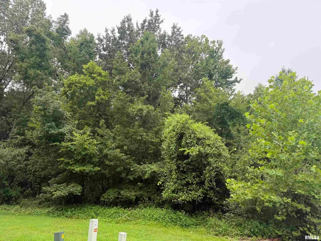 $95,000 | Tbd Kokopelli Drive, Marion, IL 62959