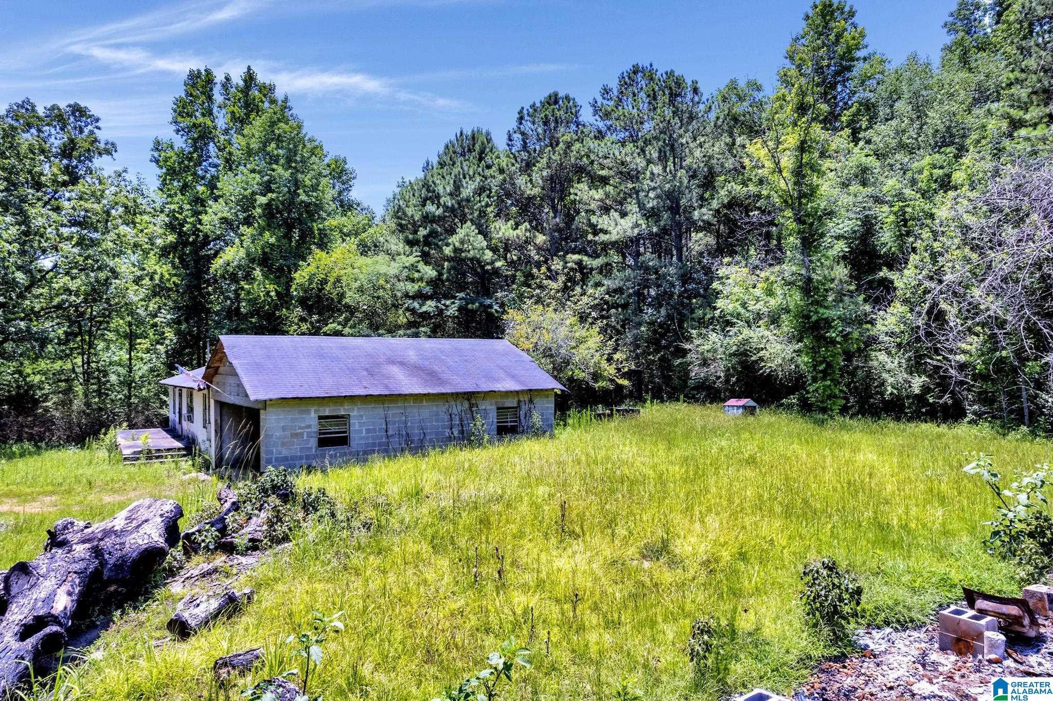 572 Dunn Hill Road Parrish, AL 35580 - Photo 4 of 25
