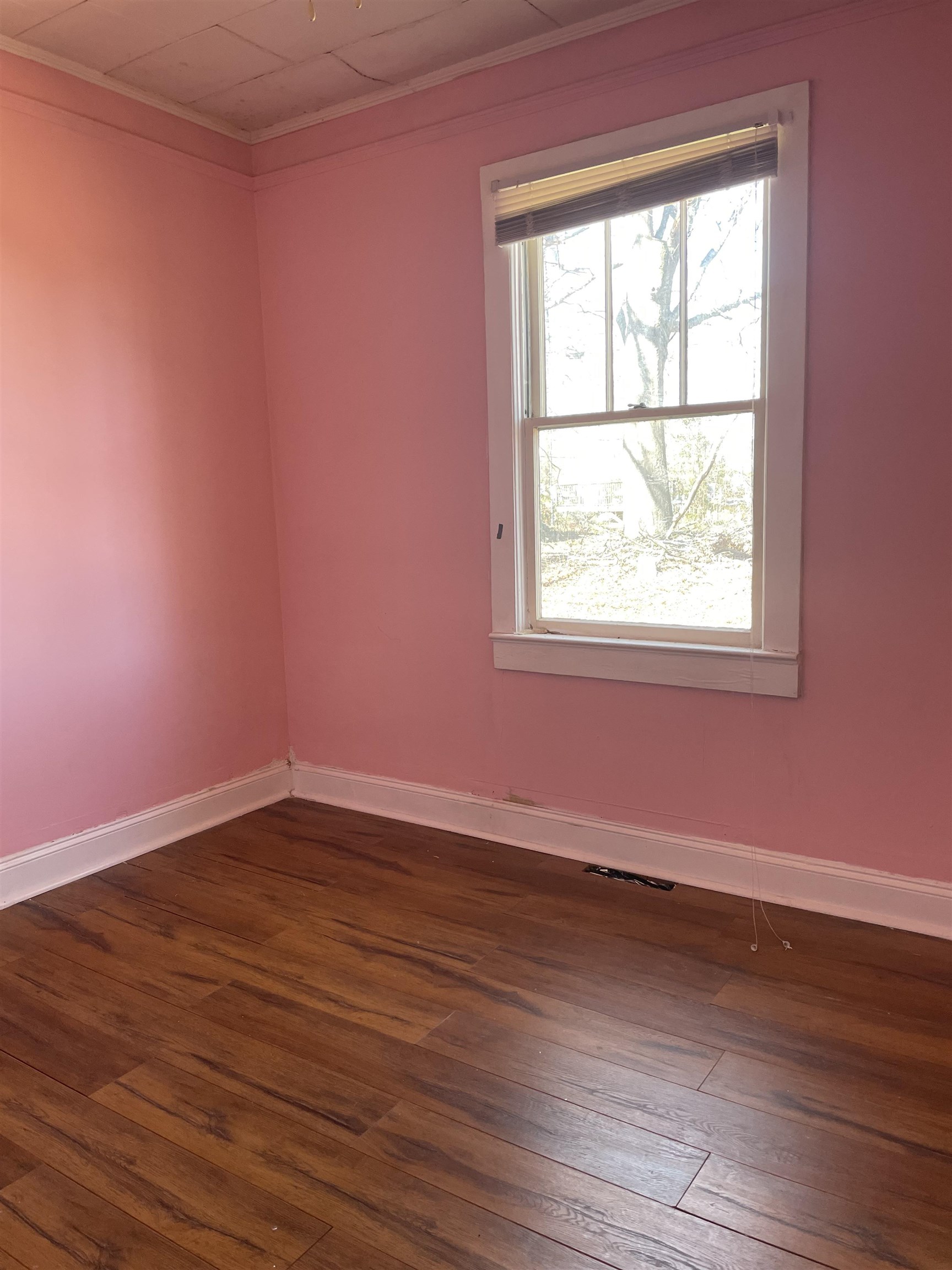 107 White Oak Road Woodruff, SC 29388 - Photo 9 of 20 Gallery Image 9