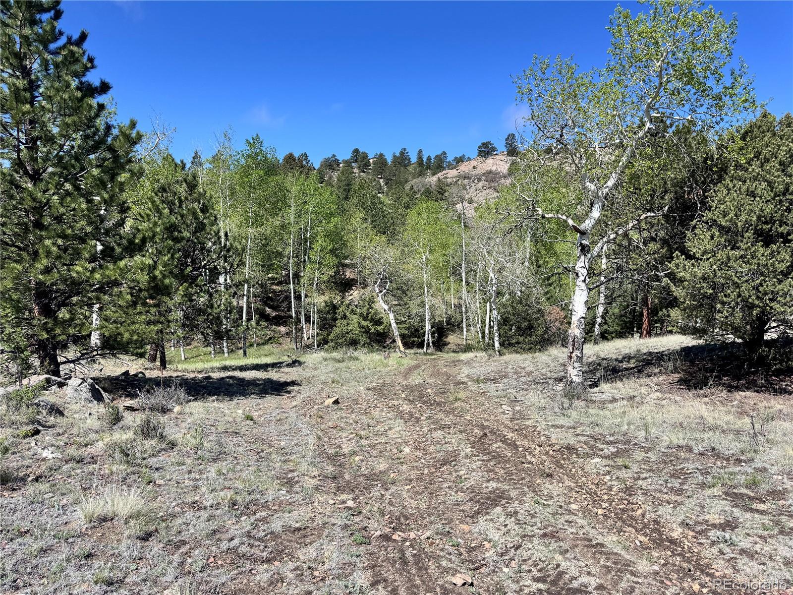 Dilley Road Westcliffe, CO 81252 - Photo 16 of 16