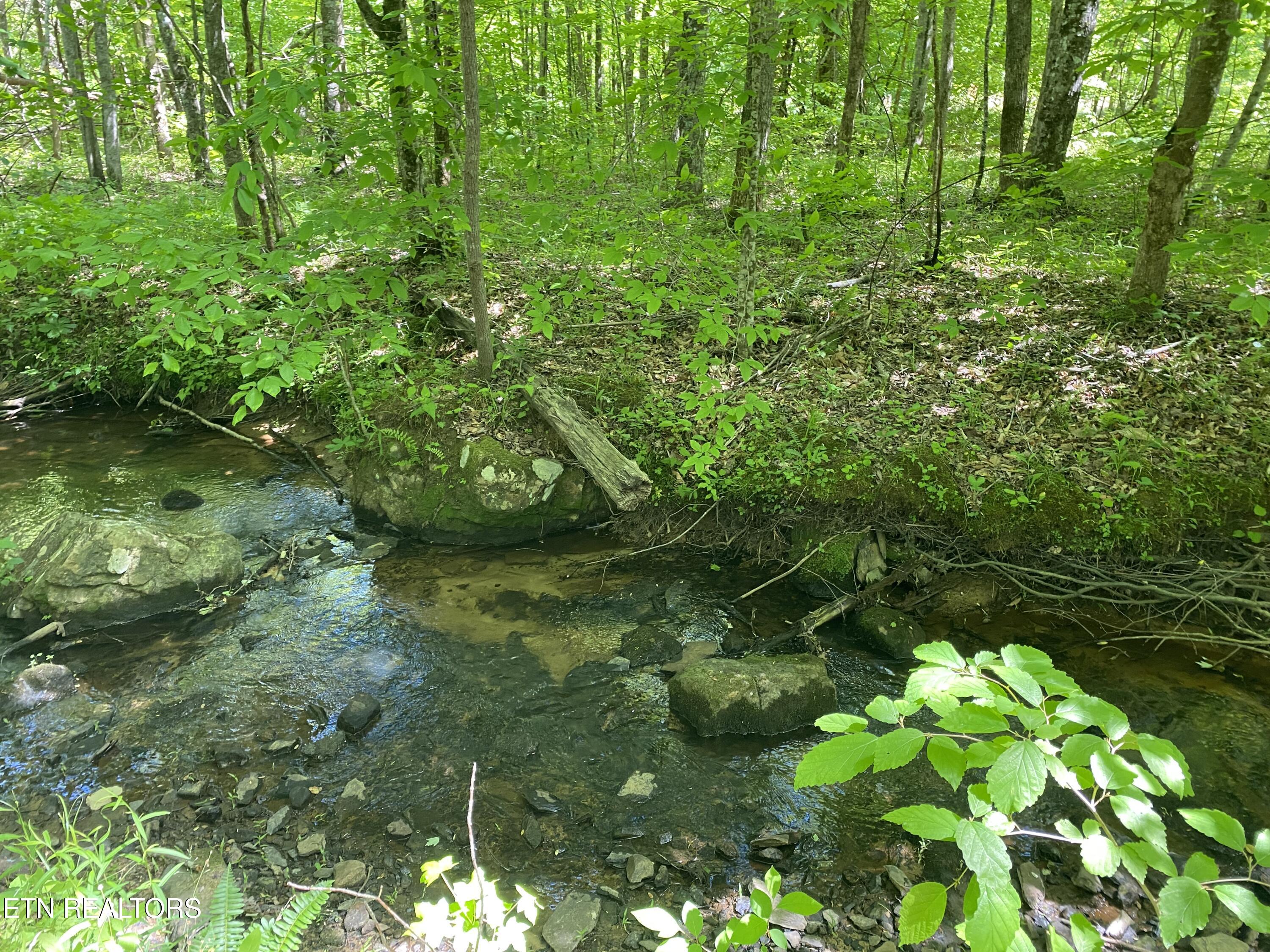 1693 Steve Brown Road Bean Station, TN 37708 - Photo 7 of 36 Steve Brown creek