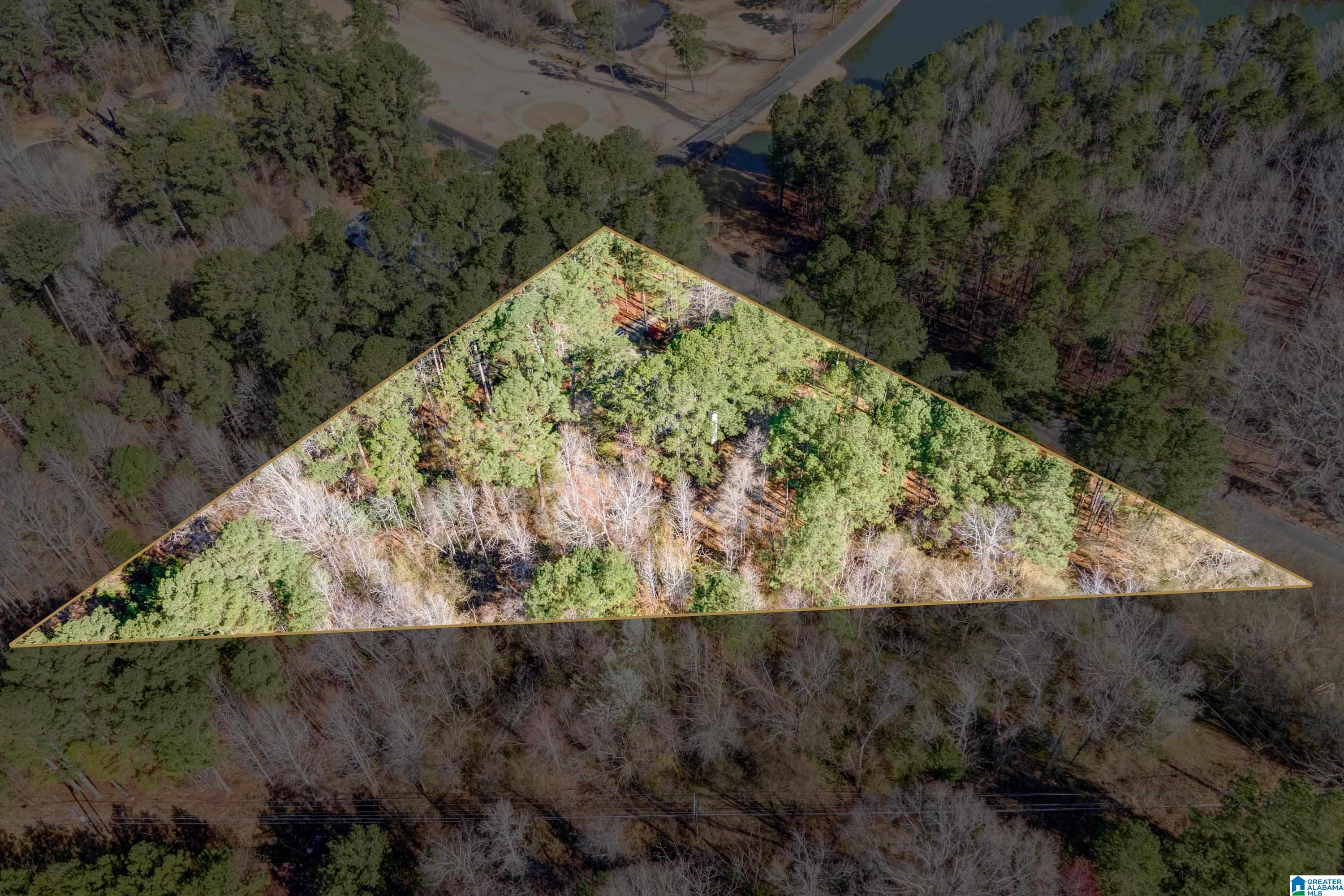8970 Marsh Mountain Road Pinson, AL 35126 - Photo 42 of 48