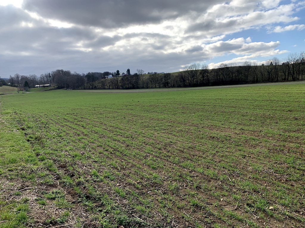 1704 Corby Bridge Road Chuckey, TN 37641 - Photo 3 of 43 a view of a field with an ocean