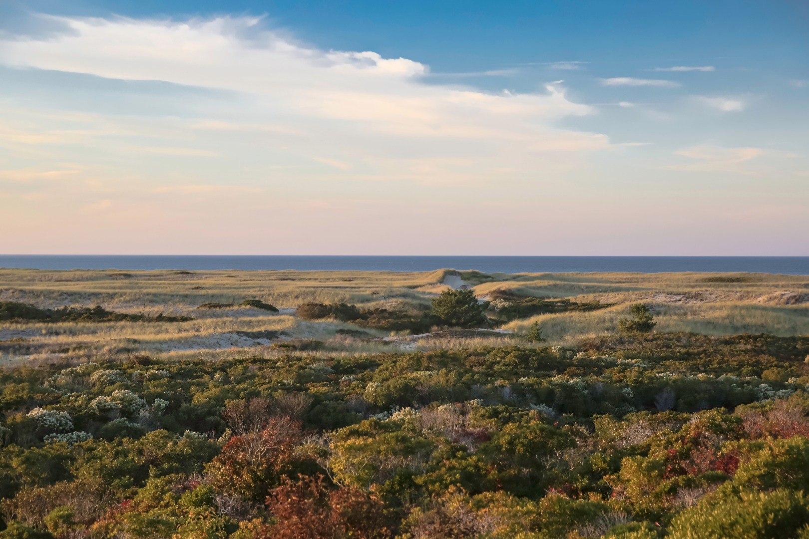 181 Eel Point Road Nantucket, MA 02554 - Photo 17 of 21 Gallery Image 17