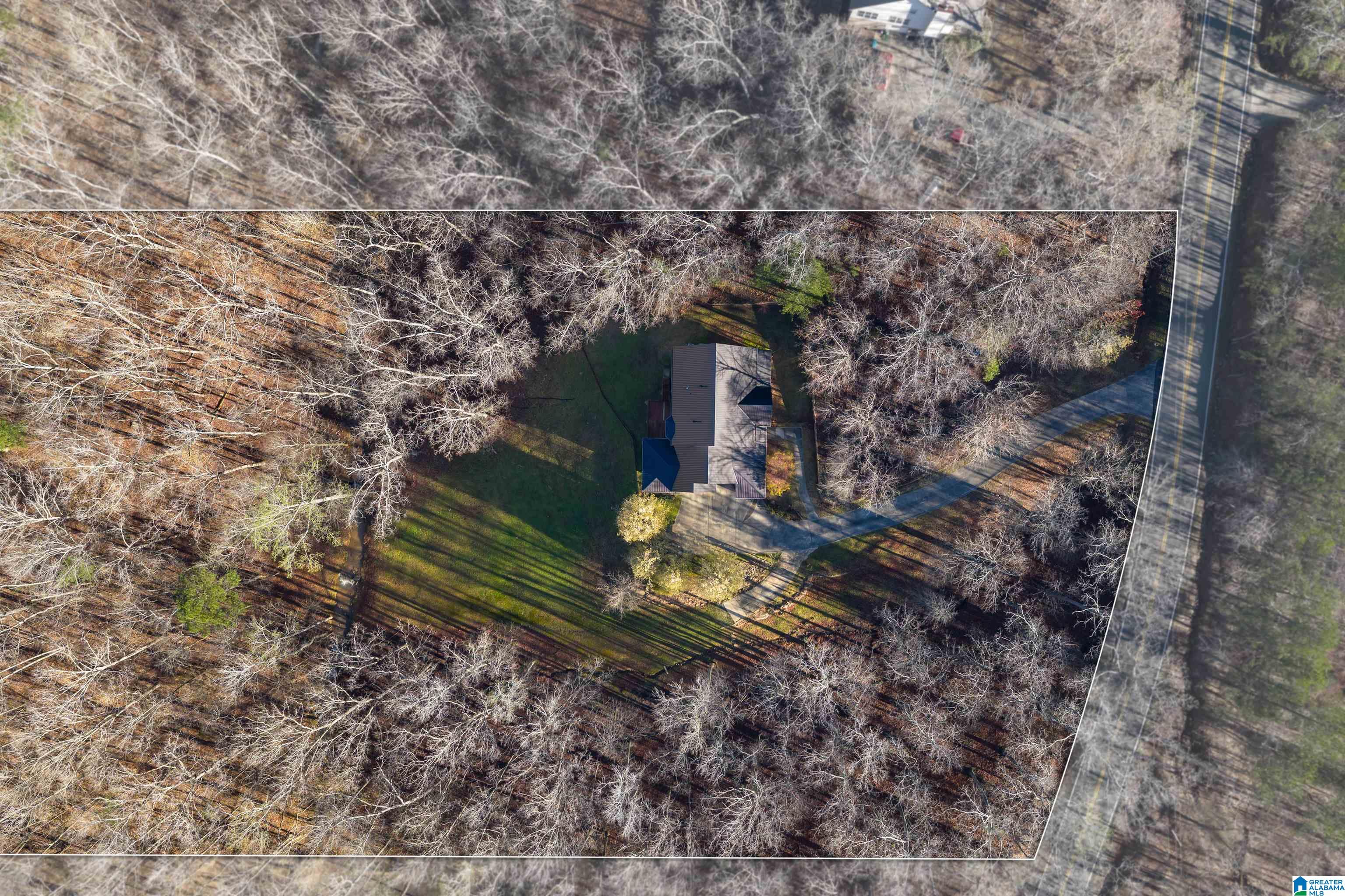 8560 Pine Mountain Road Pinson, AL 35126 - Photo 46 of 59