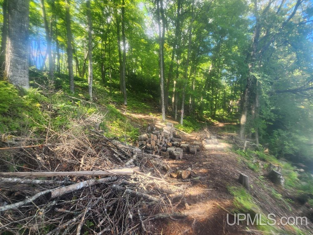 Tbd West Tamarack Lake Road, Unit LOT 5 Watersmeet, MI 49969 - Photo 40 of 66