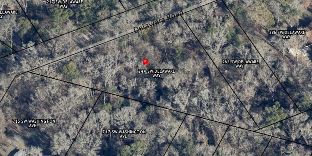 244 Southwest Delaware Way Fort White, FL 32038 - Photo 5 of 11