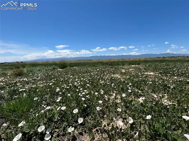 a view of yard and mountain