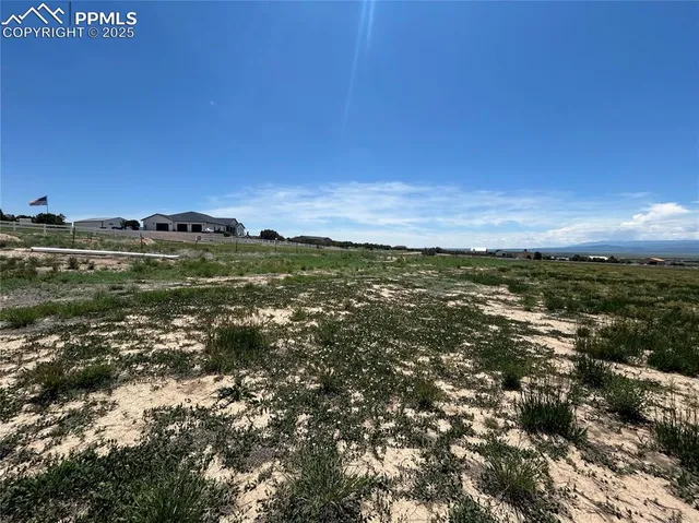 a view of a field with an ocean