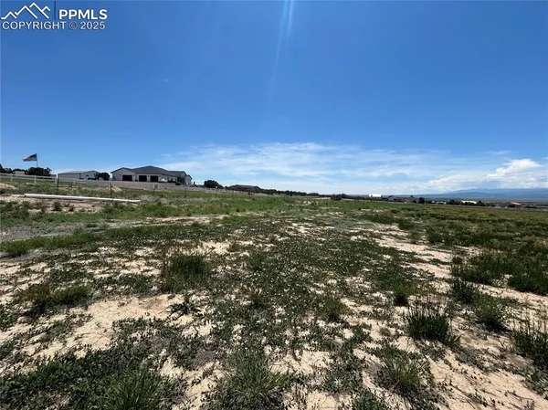 a view of a field with an ocean