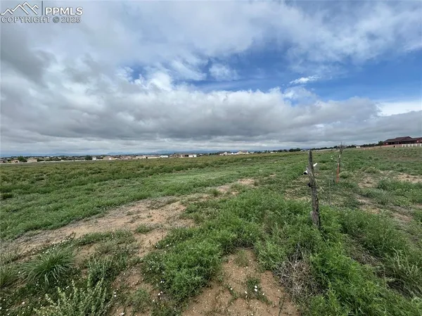a view of a green field