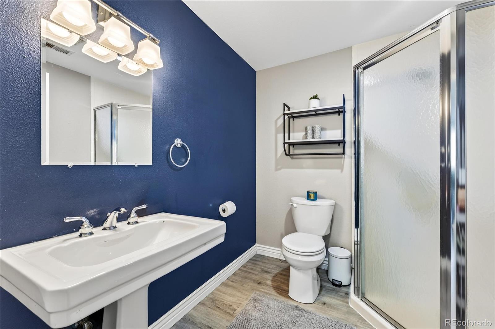 9924 Silver Maple Way Highlands Ranch, CO 80129 - Photo 36 of 44 Gallery Image 36